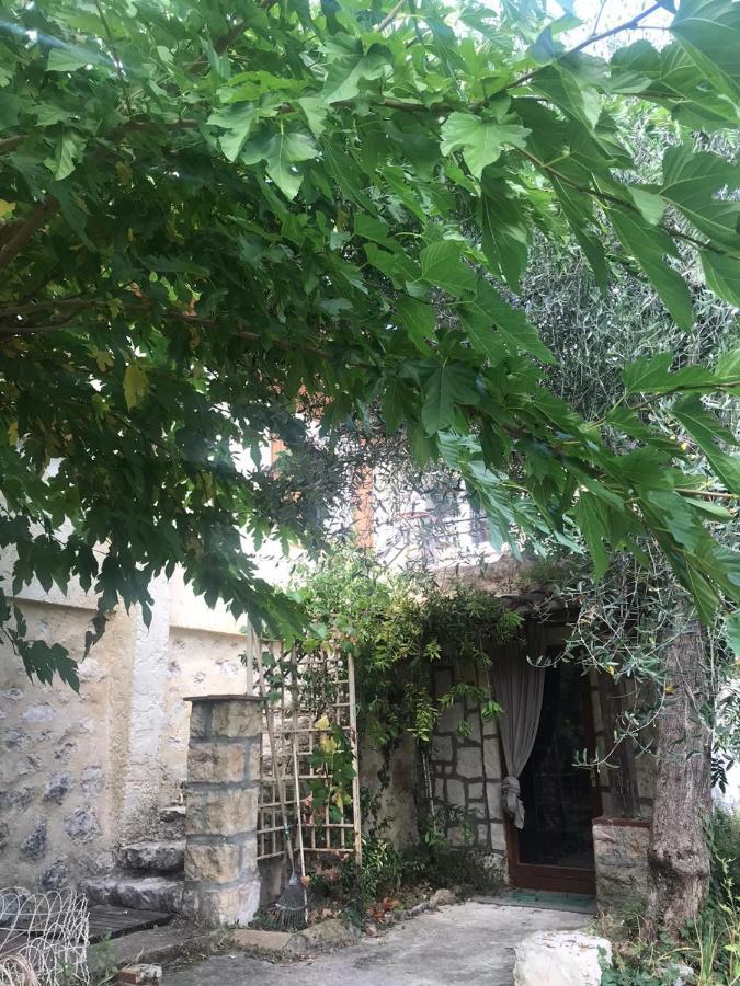 Les Oliviers De Bastet Bed & Breakfast Bendejun Bagian luar foto